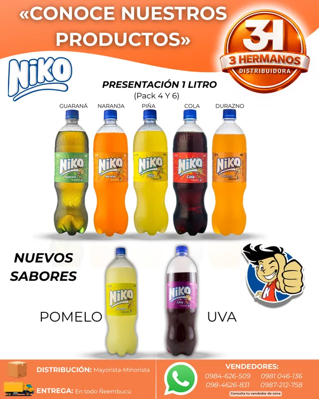 Presentaciones de Gaseosas Niko 1 L