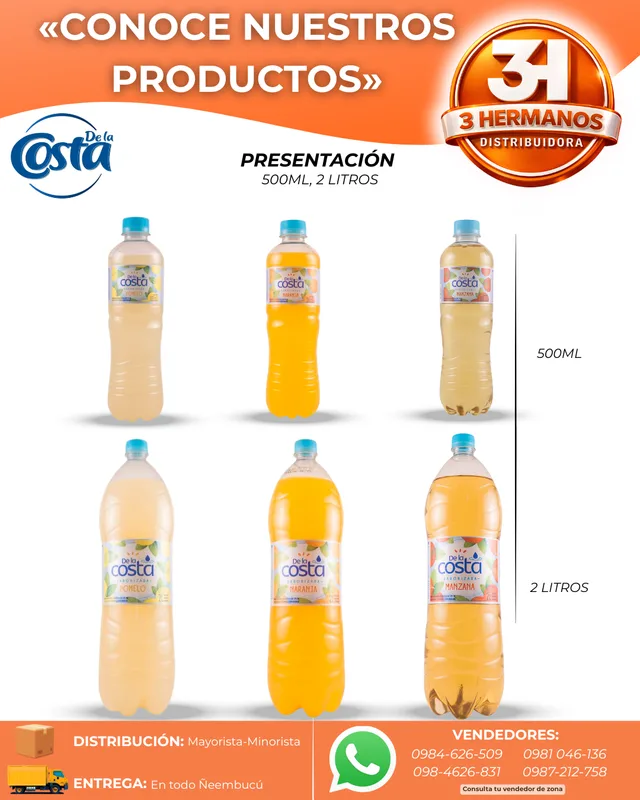 Presentaciones de Agua saborizada